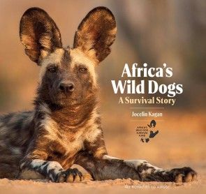 Africa's Wild Dogs photo №1