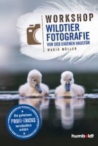 Workshop Wildtierfotografie vor der eigenen Haustür Foto №1
