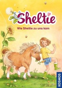 Sheltie - Wie Sheltie zu uns kam Foto №1