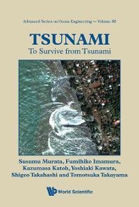 Tsunami: To Survive From Tsunami photo №1