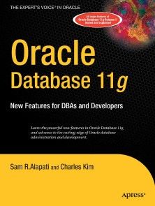 Oracle Database 11g photo №1