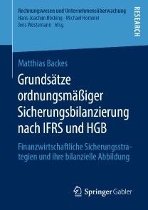 Grundsätze ordnungsmäßiger Sicherungsbilanzierung nach IFRS und HGB Foto №1