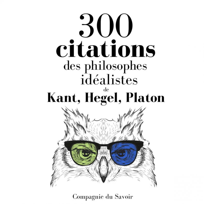300 citations des philosophes idéalistes photo 2