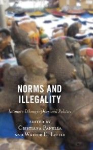 Norms and Illegality photo №1