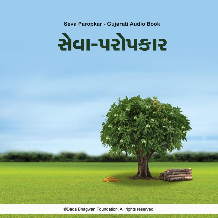Seva Paropkar - Gujarati Audio Book photo 2