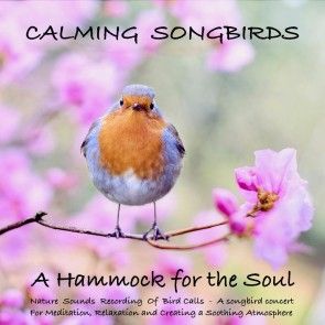 Calming Songbirds: Nature Sounds Recording Of Bird Calls - A songbird concert for Meditation, Relaxation and Creating a Soothing Atmosphere photo №1