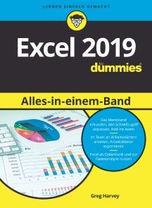 Excel 2019 Alles-in-einem-Band für Dummies Foto №1
