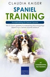 Spaniel Training: Hundetraining für Deinen Spaniel Foto №1