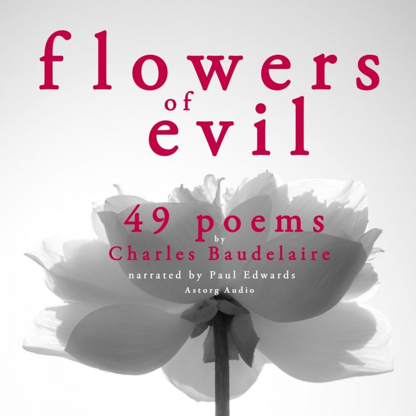 49 poems from The Flowers of Evil by Baudelaire photo 2