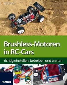 Brushless-Motoren in RC-Cars Foto №1