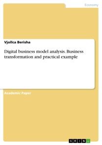 Digital business model analysis. Business transformation and practical example photo №1