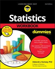 Statistics Workbook For Dummies with Online Practice photo №1