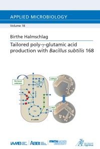Tailored poly-γ-glutamic acid production with Bacillus subtilis 168 photo №1