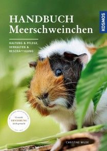 Handbuch Meerschweinchen Foto №1