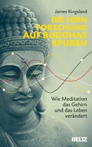 Die Hirnforschung auf Buddhas Spuren Foto №1