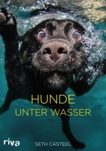Hunde unter Wasser Foto №1