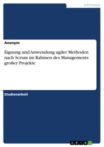 Eignung und Anwendung agiler Methoden nach Scrum im Rahmen des Managements großer Projekte Foto №1