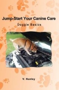 Jump-Start Your Canine Care photo №1