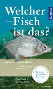 Welcher Fisch ist das? Foto №1