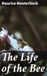 The Life of the Bee photo №1