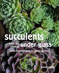 Succulents and All things Under Glass photo №1