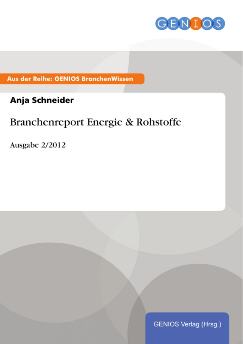 Branchenreport Energie & Rohstoffe Foto №1