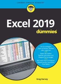 Excel 2019 für Dummies Foto №1