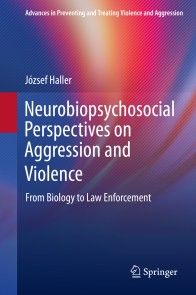 Neurobiopsychosocial Perspectives on Aggression and Violence photo №1