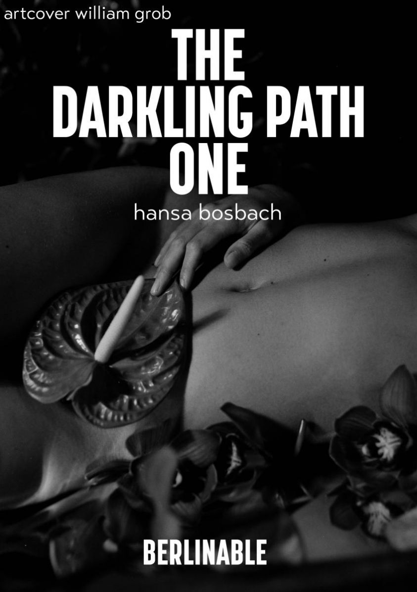 The Darkling Path - Episode 1 photo №1