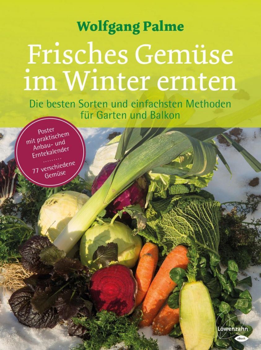 Frisches Gemüse im Winter ernten Foto №1