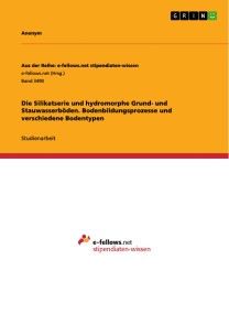 Die Silikatserie und hydromorphe Grund- und Stauwasserböden. Bodenbildungsprozesse und  verschiedene Bodentypen Foto №1