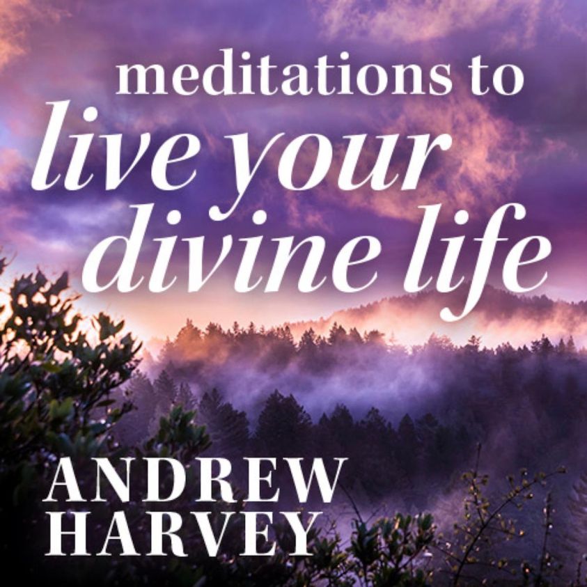 Meditations to Live Your Divine Life photo 2