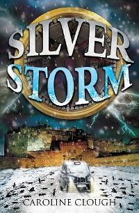 Silver Storm Foto №1