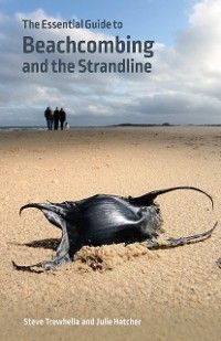 Essential Guide to Beachcombing and the Strandline photo №1