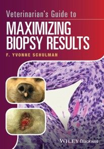 Veterinarian's Guide to Maximizing Biopsy Results photo №1