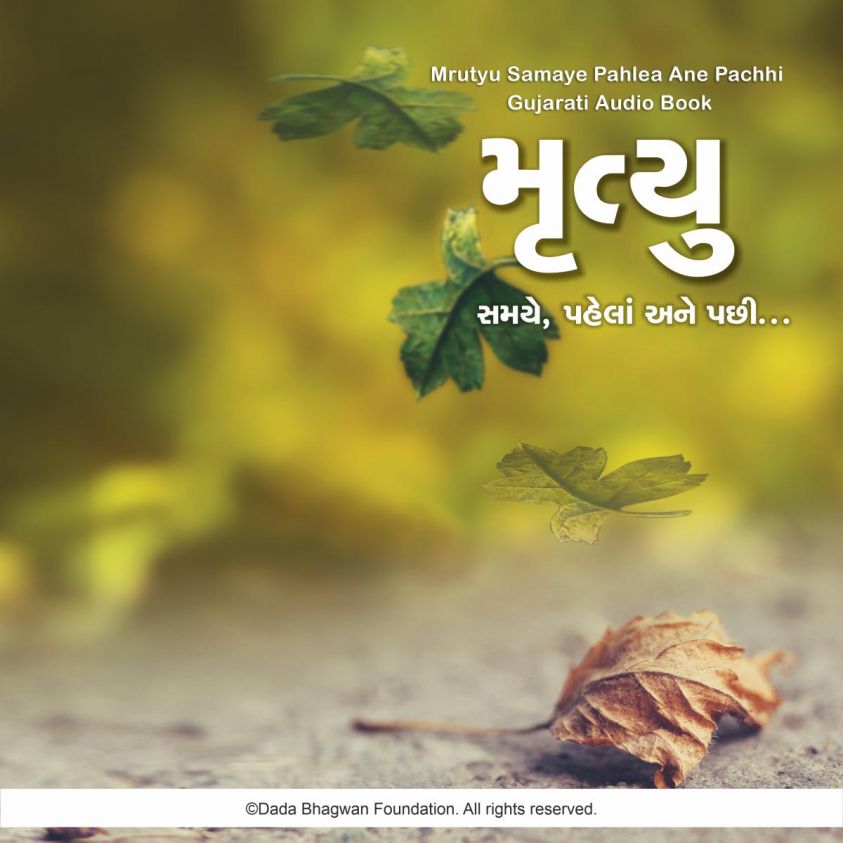 Mrutyu Samaye Pahela ane Pachhi - Gujarati Audio Book photo 2