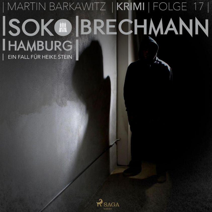 Brechmann - SoKo Hamburg - Ein Fall für Heike Stein 17 (Ungekürzt) Foto 1