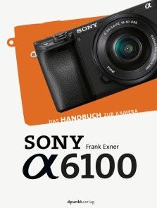 Sony Alpha 6100 Foto №1