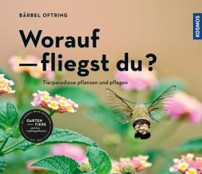 Worauf fliegst du? Foto №1