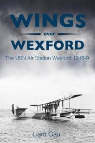 Wings Over Wexford photo №1