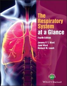 The Respiratory System at a Glance photo №1