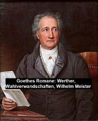 Goethes Romane: Werther, Wahlverwandschaften, Wilhelm Meister Foto №1