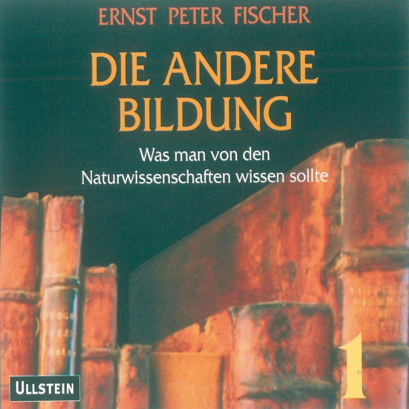 Die andere Bildung 1 Foto №1