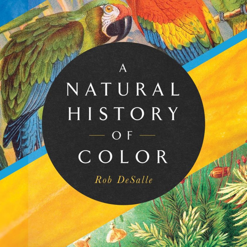 A Natural History of Color photo 2