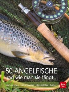 50 Angelfische und wie man sie fängt Foto №1