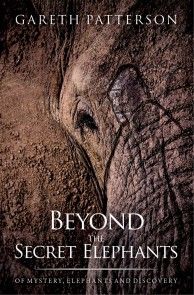 Beyond the Secret Elephants photo №1