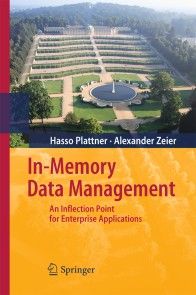 In-Memory Data Management photo №1