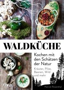Waldküche: Kochen mit den Schätzen der Natur Foto №1