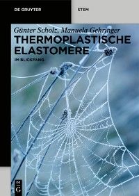 Thermoplastische Elastomere Foto №1
