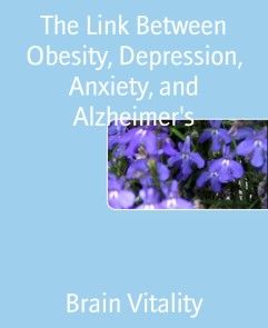 The Link Between Obesity, Depression, Anxiety, and Alzheimer's photo №1